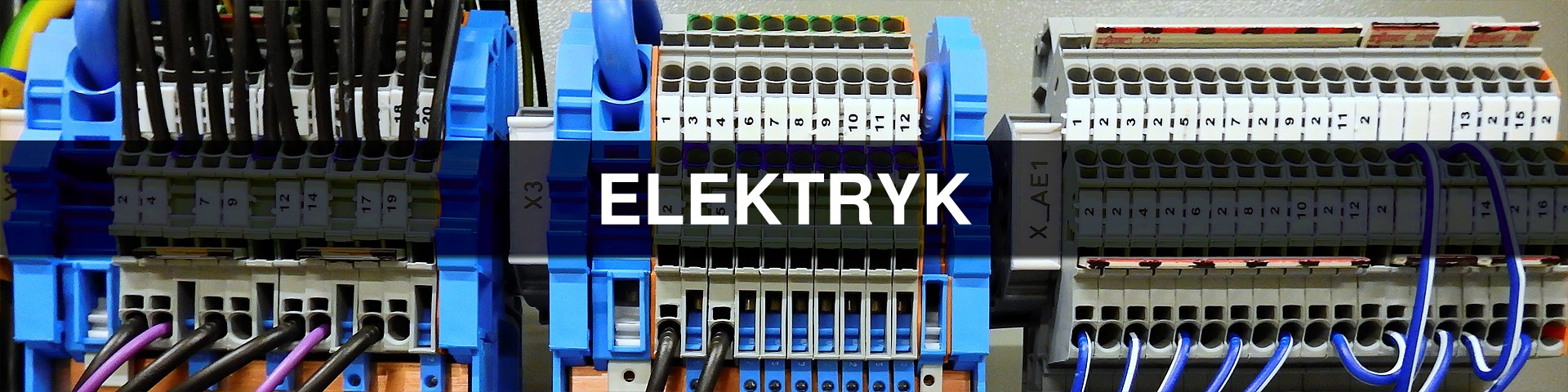 Elektryk
