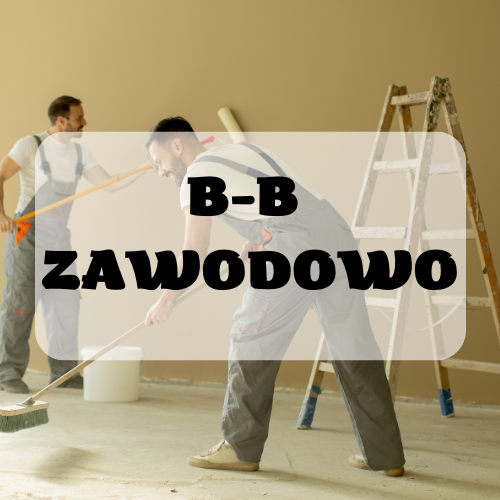 Bielsko-Biała zawodowo