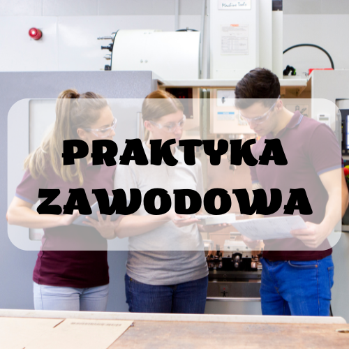 Praktyka Zawodowa