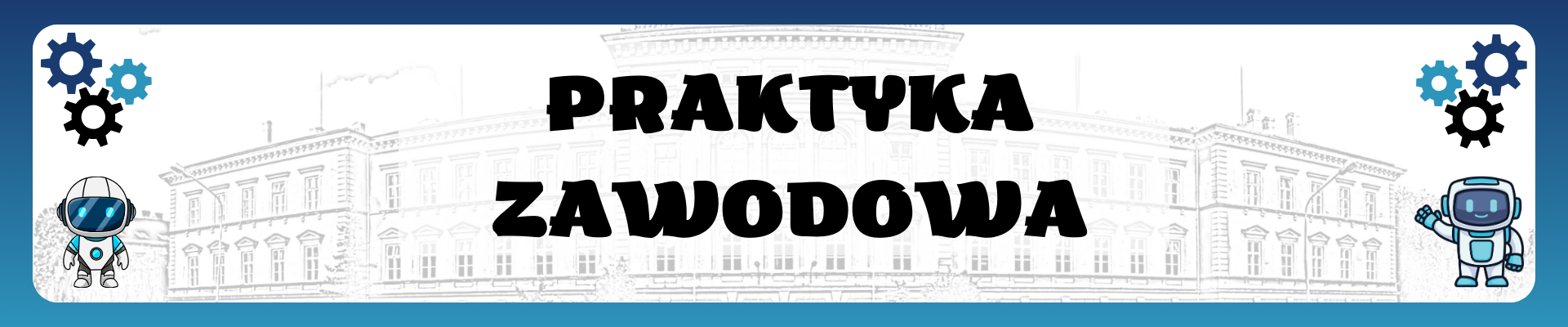 Praktyka Zawodowa