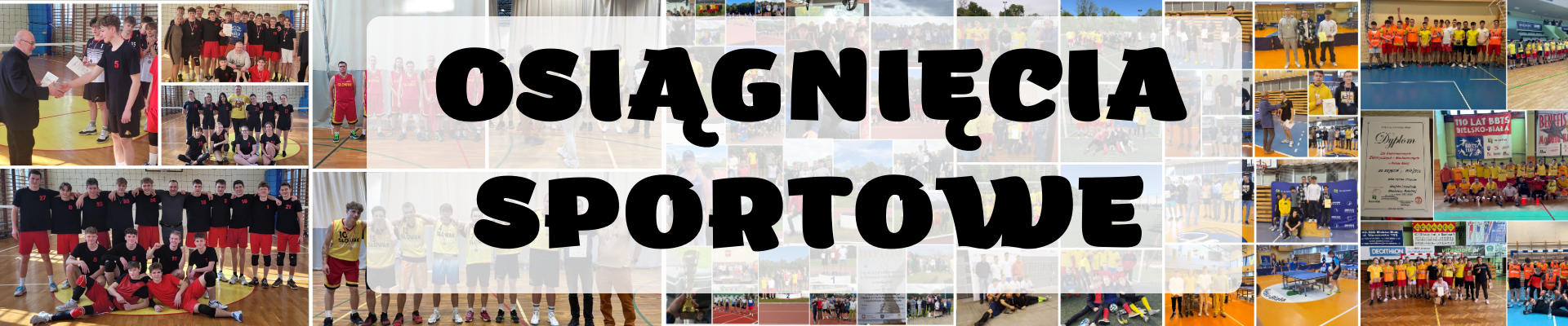 Osiągnięcia Sportowe
